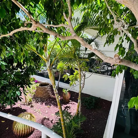 Lovely Estudio Americas, Sea View * Playa Feñabe