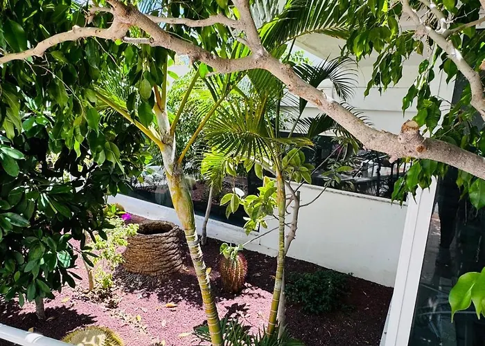 Lovely Estudio Americas, Sea View * Playa Feñabe